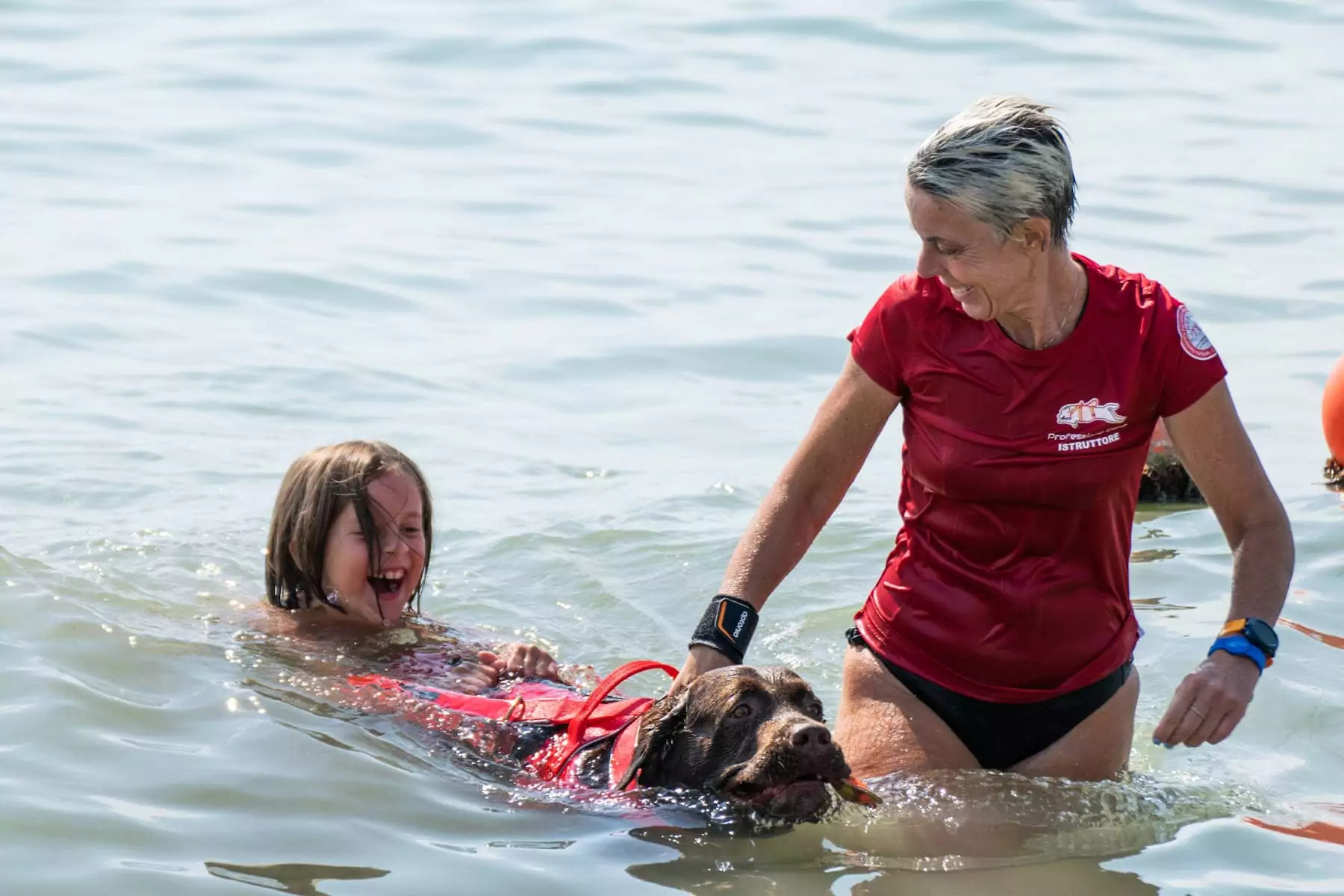 bivillage-bauwatch-dog-rescue.jpg