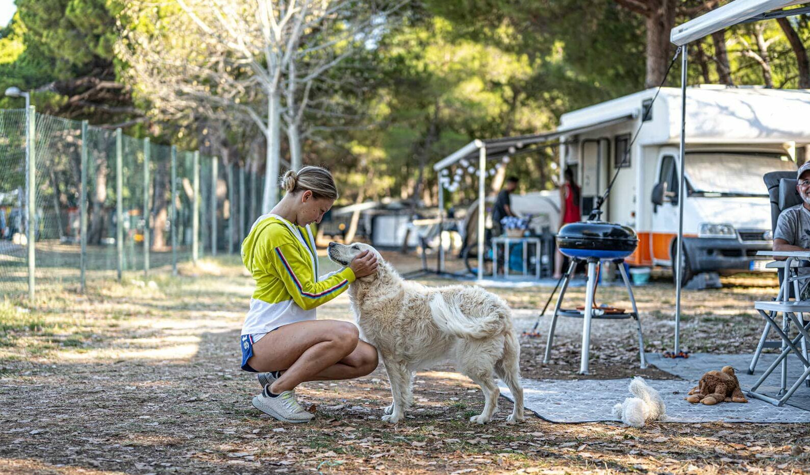 ragazza che accarezza il cane in piazzola