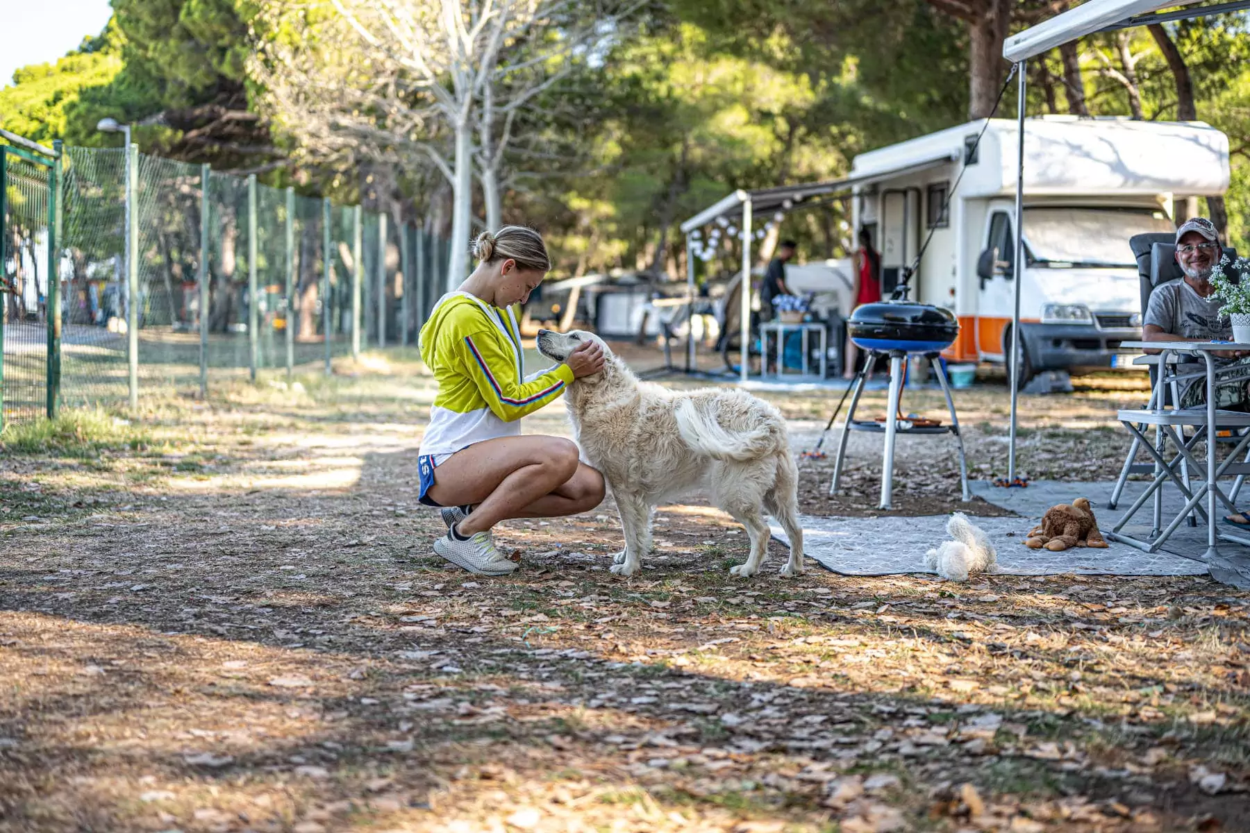 ragazza che accarezza il cane in piazzola