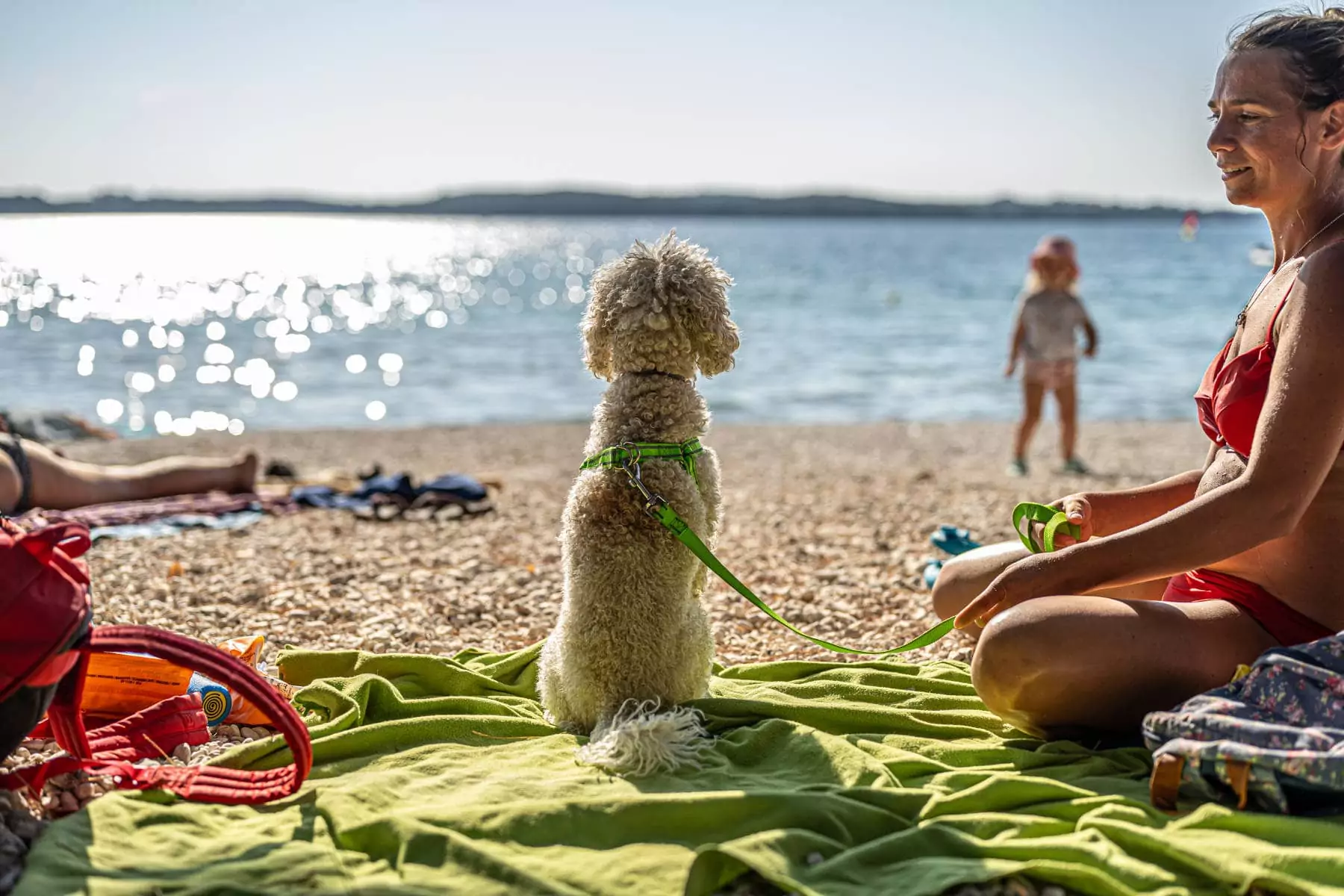 cane al guinzaglio nella Bi Dog Beach al Bivillage