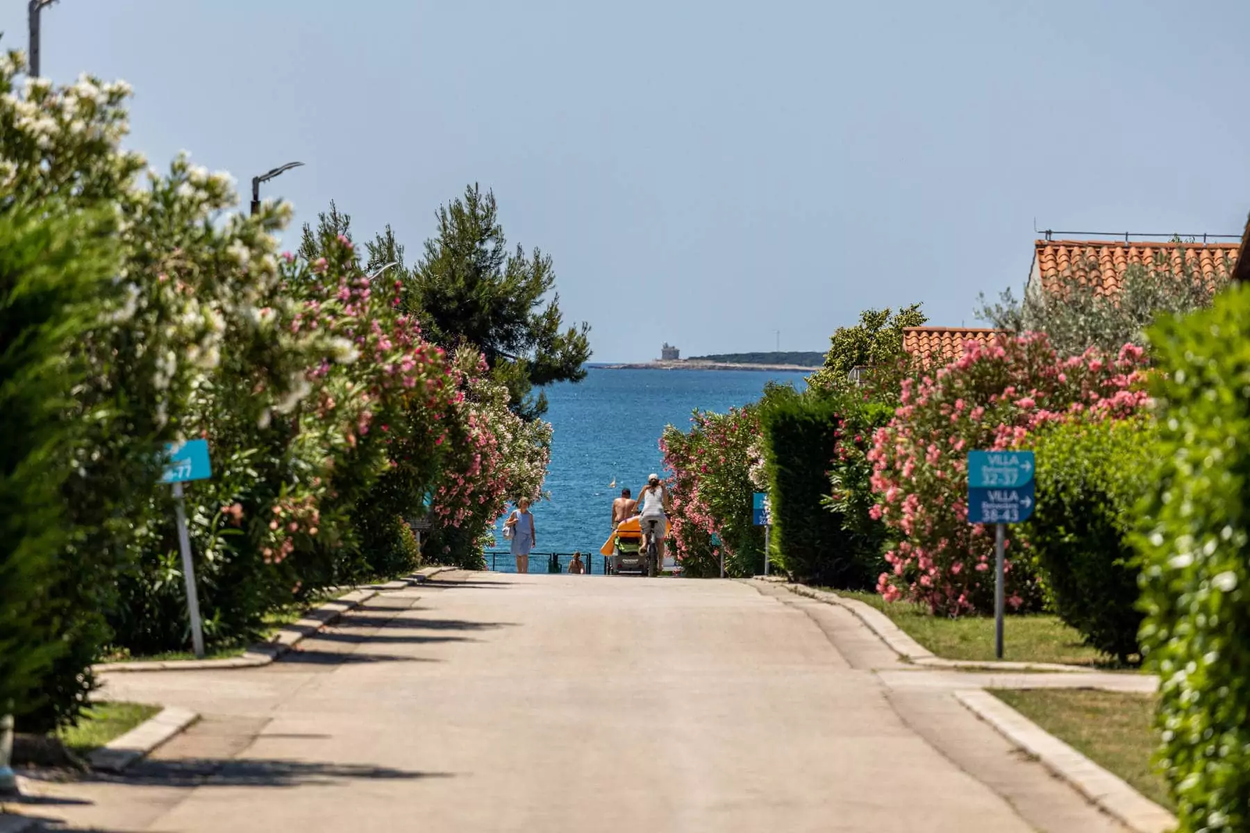 viale del villaggio vacanze bivillage