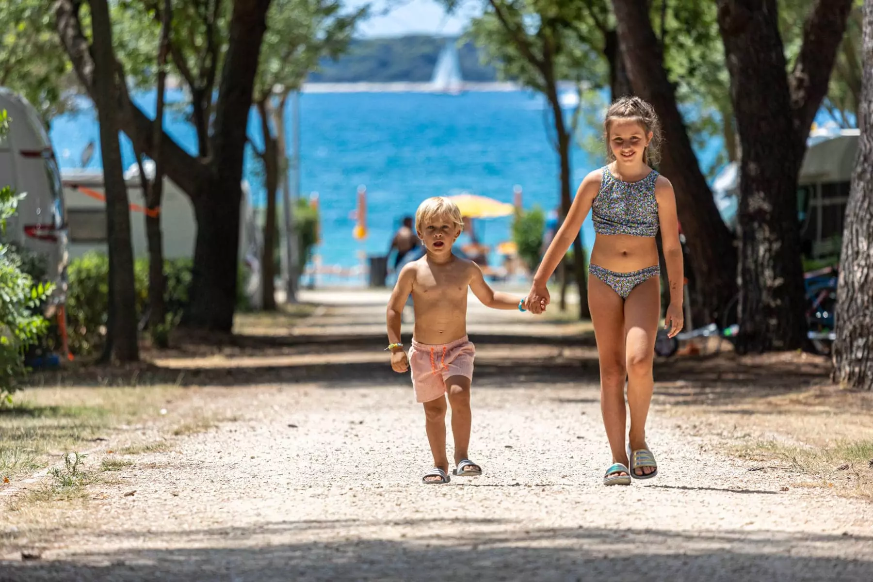 bambini che camminano tenendosi per mano lungo il viale nella pineta del camping