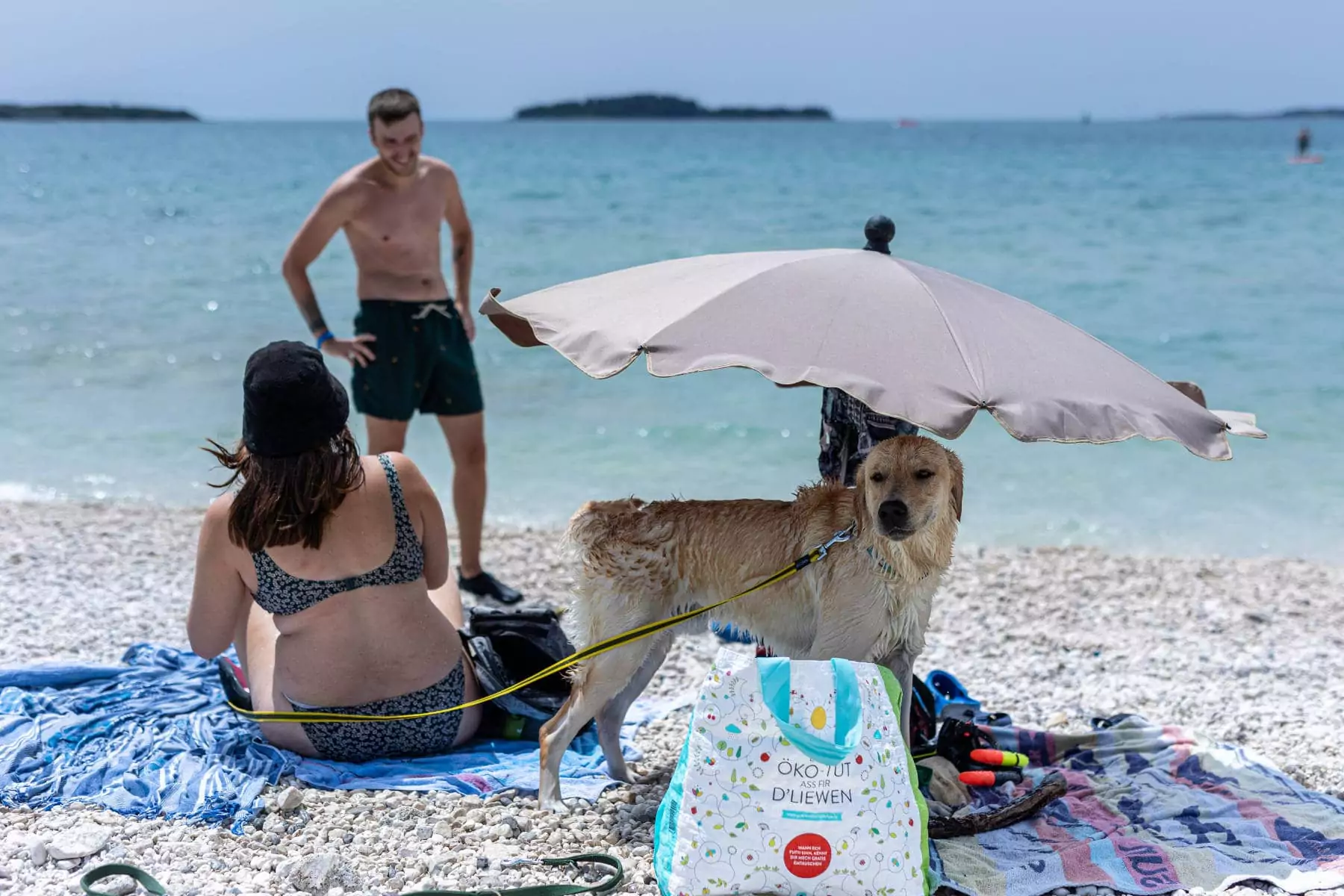 cane bagnato sotto l'ombrellone in spiaggia libera al centro vacanze