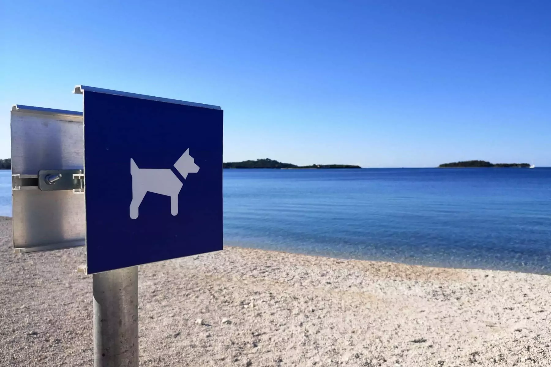 cartello spiaggia per cani al bivillage