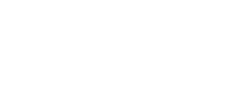 BiVillage